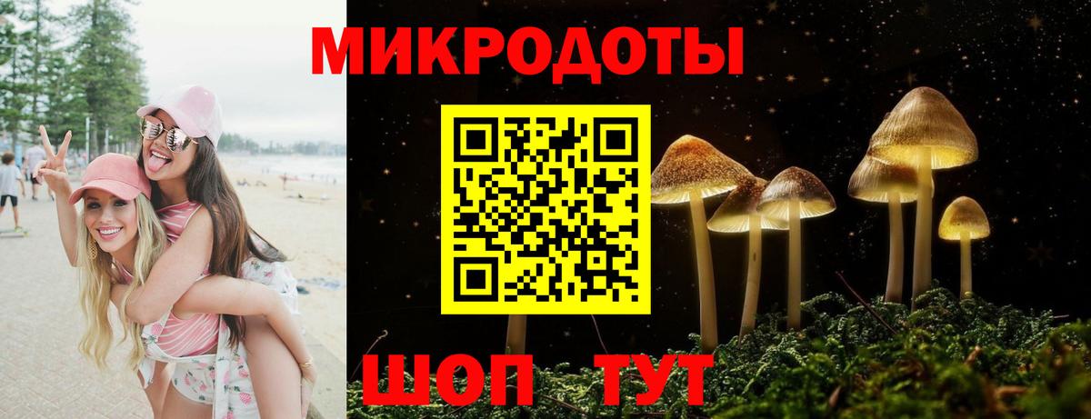 Галлюциногенные грибы Cubensis Верхняя Салда