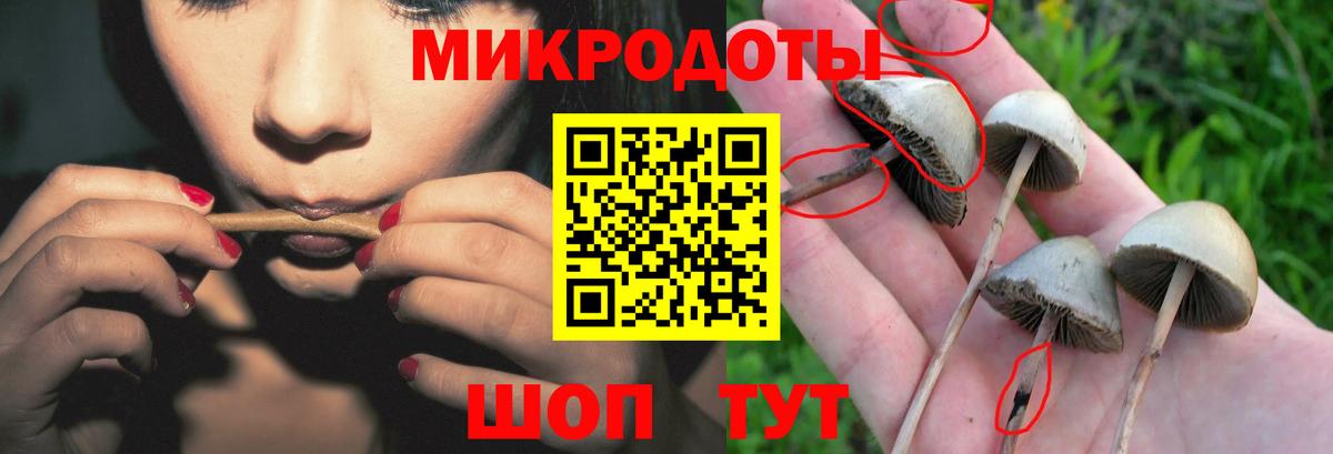 Верхняя Салда  Галлюциногенные грибы MAGIC MUSHROOMS  Псилоцибиновые грибы Cubensis  Вход с VPN 